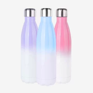 TPSBXG-13 | Botella Degradado de Acero Inoxidable 750 ml